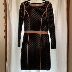 Calvin Klein long sleeve sweater dress, medium.